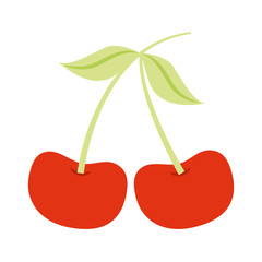 pair of cherries in branche vector illustration design