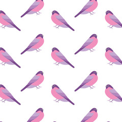 cute birds with beautiful plumage pattern vector illustration design