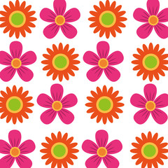 Fototapeta na wymiar set of cute flowers decoration natural vector illustration