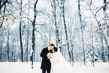 Portrait of an amazing wedding couple. Great landscape.