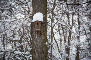 Winter in the filevskiy park