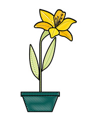 flower lily in a pot decorative vector illustration design