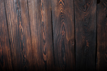 Close up texture of bark wood