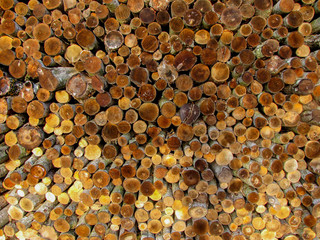 Stack of firewood