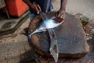 Man cutting fresh tuna with huge knife in Weligama In Sri Lanka. Prepare fresh fish in traditional way