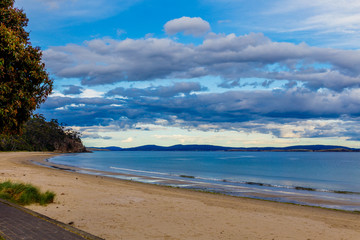 detail view of Tasmanian beach with golden sand and bush trees