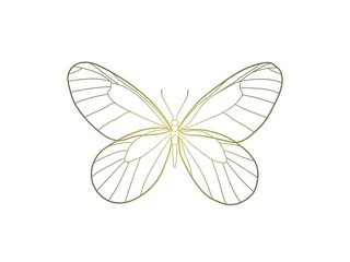 Butterfly with golden gradient, concept for design of ivitations, cards