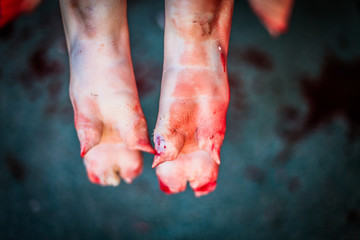close up of feet of a killed bleed pig hanging at the slaughterhouse