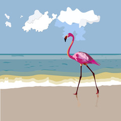 Fototapeta na wymiar A wild pink flamingo