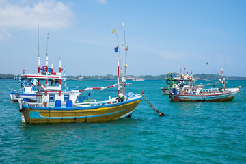 Naklejka na ściany i meble Several traditional local boats to catch fish in Weligama Bay. Fishing indusrty in Sri Lanka