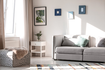 Fototapeta premium Stylish living room interior with comfortable sofa