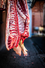 half dead pigs hanging in a slaughterhouse after killing from a butcher