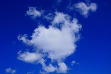 Naklejka na ściany i meble big white cloud on a blue sky on a sunny day