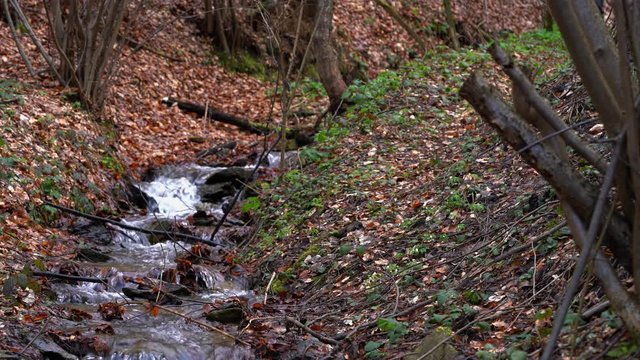 Man crosses the creek in the wood - (4K)