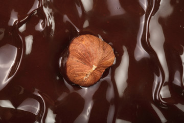Melted chocolate swirl with hazelnut as a background closeup