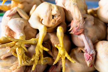 chicken exposed in market