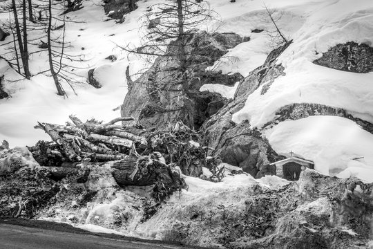 Fototapeta spring landscape in the mountains in black and white with snow. Bad weather