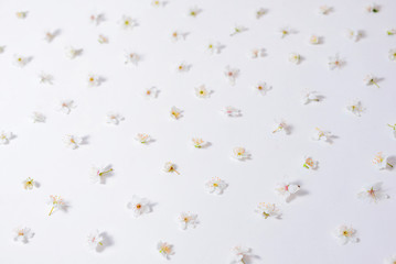 white flowers arranged on a white background like pattern