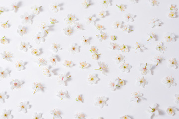 white flowers arranged on a white background like pattern
