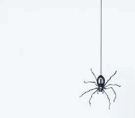 Fotobehang Surrealisme Illustratie-schets van een zwarte spin getekend in zwart porselein bungelend geïsoleerd op een witte bladachtergrond