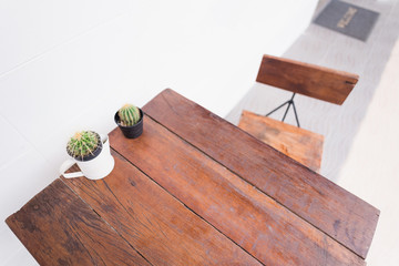 Cactus on wooden table