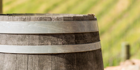 Wine barrel on a winery in the spring time with the sun out