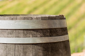 Wine barrel on a winery in the spring time with the sun out