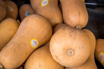 butternut squash at market 