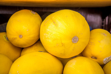 yellow squash at market 