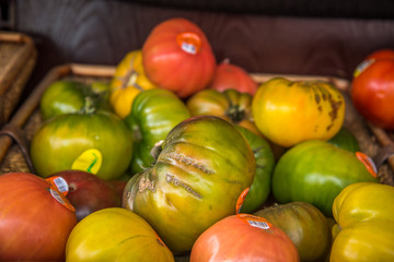 different colored tomatoes 
