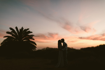 Fototapeta premium silhouette of man and woman and a palm tree