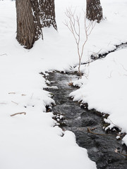 Small Brook in Snow that meanders through  toward a tree trunk of a deciduous tree in the background.