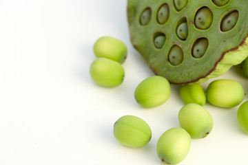 lotus seed close up