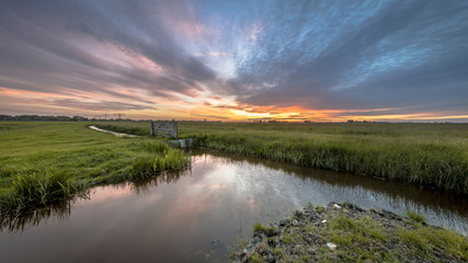 View of dairy farmland
