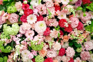 Photo sur Plexiglas Fleurs Beaucoup de fleurs