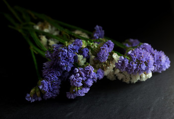 Purple lavender bouquet isolate on Black background
