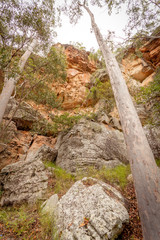 Fototapeta na wymiar Sandstone Cliffs Cania Gorge Queensland Australia