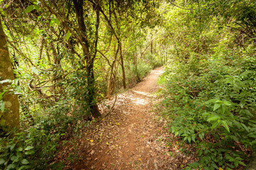 Fototapeta na wymiar Cania Gorge Track Queensland Australia