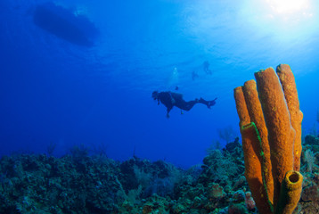 The silhouette of a dive boat can be seen upon the surface of the deep blue water. A coral reef can be seen below, this is the perfect location for scuba enthusiasts
