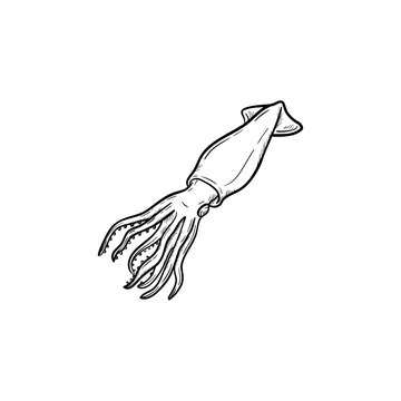 Squid hand drawn outline doodle icon