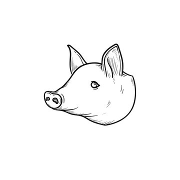 Pork meat hand drawn outline doodle icon