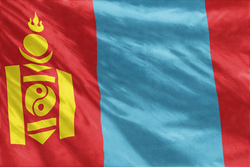 Flag of Mongolia full frame close-up
