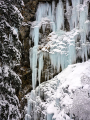 Fototapeta na wymiar winter ice and snow wonderland in wild nature in the Alps