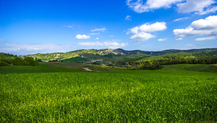 Fototapeta premium Tuscany, Landscape. Italy