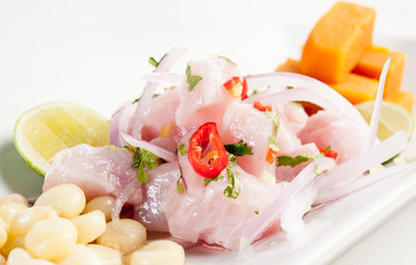 Ceviche, stew symbol of Peruvian gastronomy