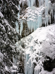 Obraz na płótnie Canvas winter ice and snow wonderland in wild nature in the Alps