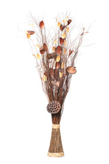 Vase with dry Branches, decorative Sticks and dried Twigs isolated on white background