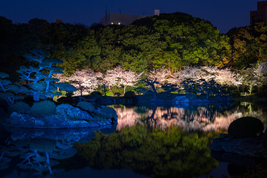 栗林公園ライトアップ