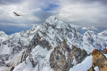 A huge snow and ice rocky mountain peak and an eagle flying above in the sky. Rare image View from high altitude. Layered clouds. Central Caucasus.