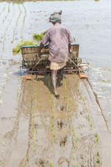 Local south indian farmer harvesting rice crops in the farm field using a mechanical machine. With selective focus on the subject.